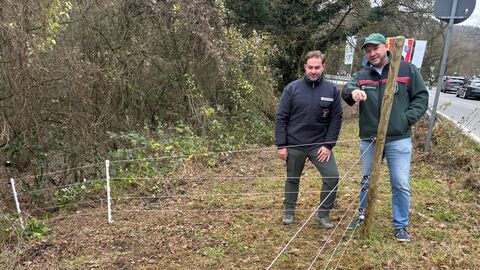 Zwei Männer stehen an einem Zaun im Wald.