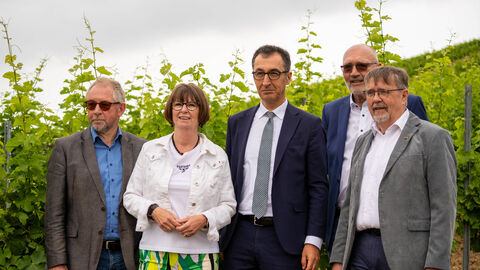 Eine Frau und vier Männer stehen vor einem Weinberg